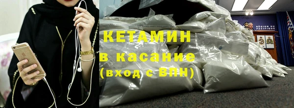 прущие грибы Аркадак
