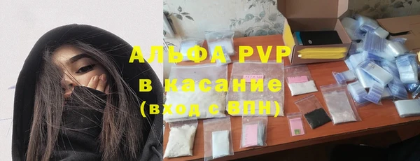 прущие грибы Аркадак