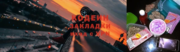 крисы Арсеньев