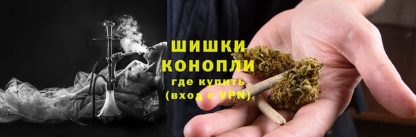 прущие грибы Аркадак