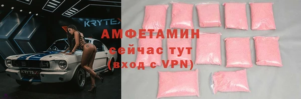 прущие грибы Аркадак